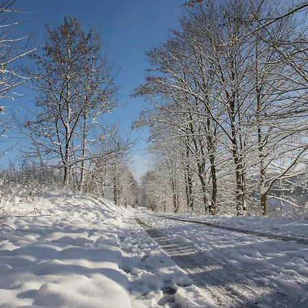Welcome In - - Gemuetliche In Der Naehe Des Zentrums Und Des Skigebiets
